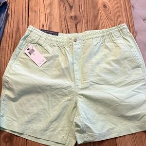 Mint Green Men's Casual Shorts